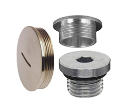 Blanking Plugs